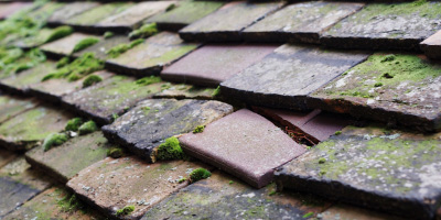 Old Swan roof repair costs
